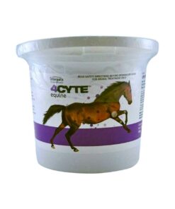 4CYTE Equine Granules