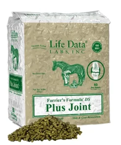 Best selling formula horse feed