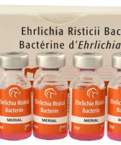 premium health products for horses